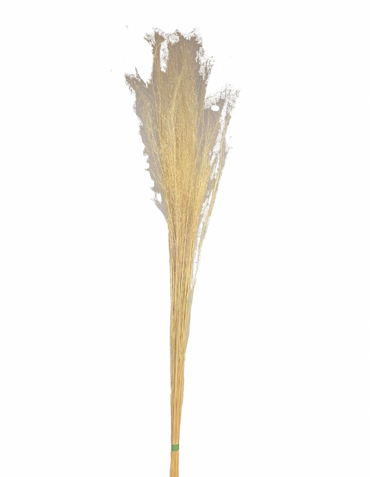 Dried Muhly Grass