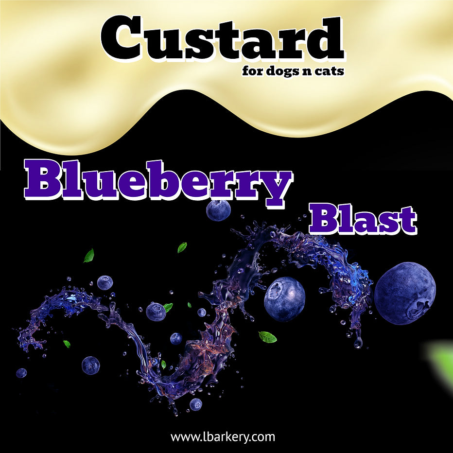 Custard - Blueberry Blast