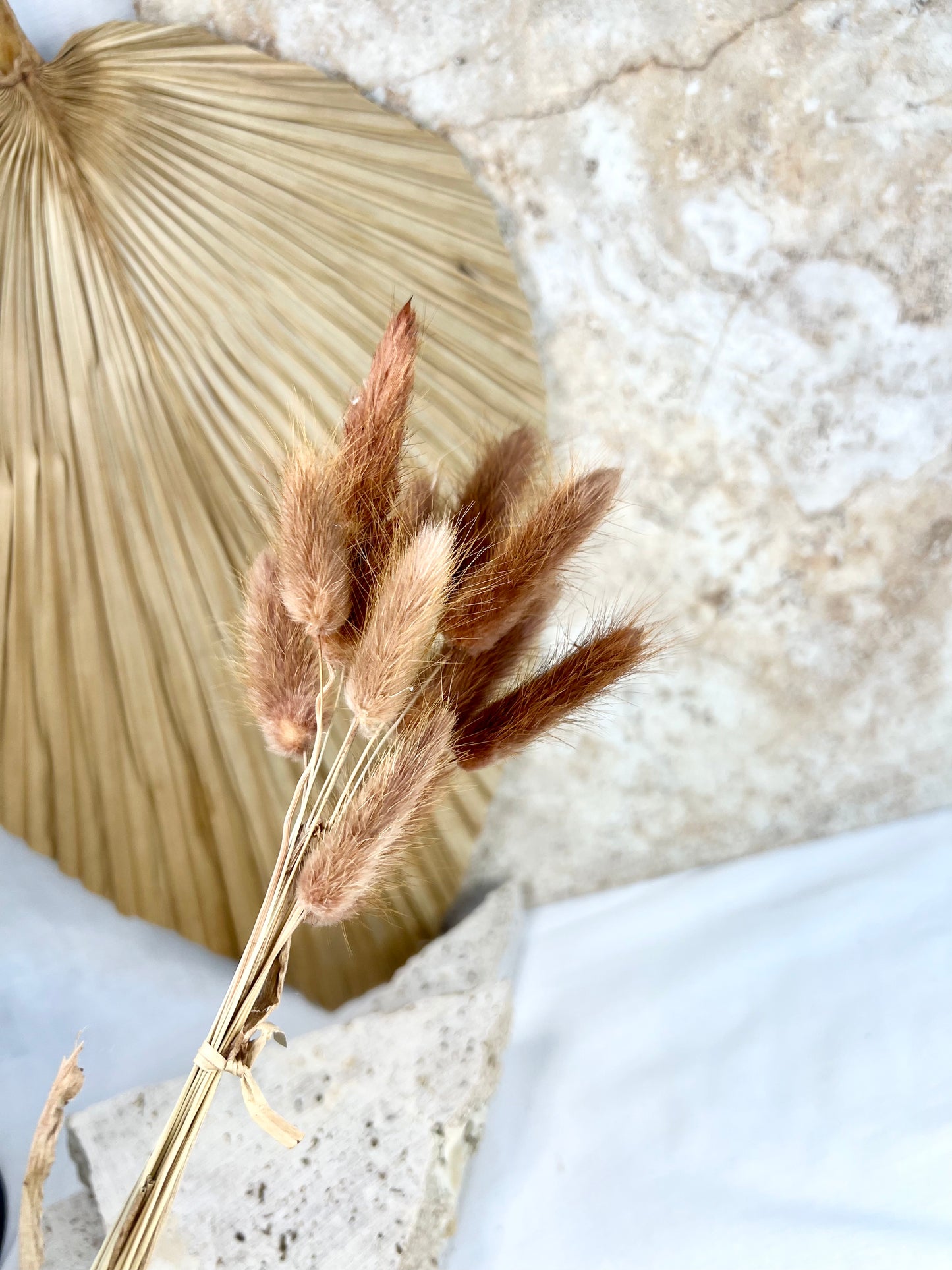 Preserved & Dried Bunny Tails