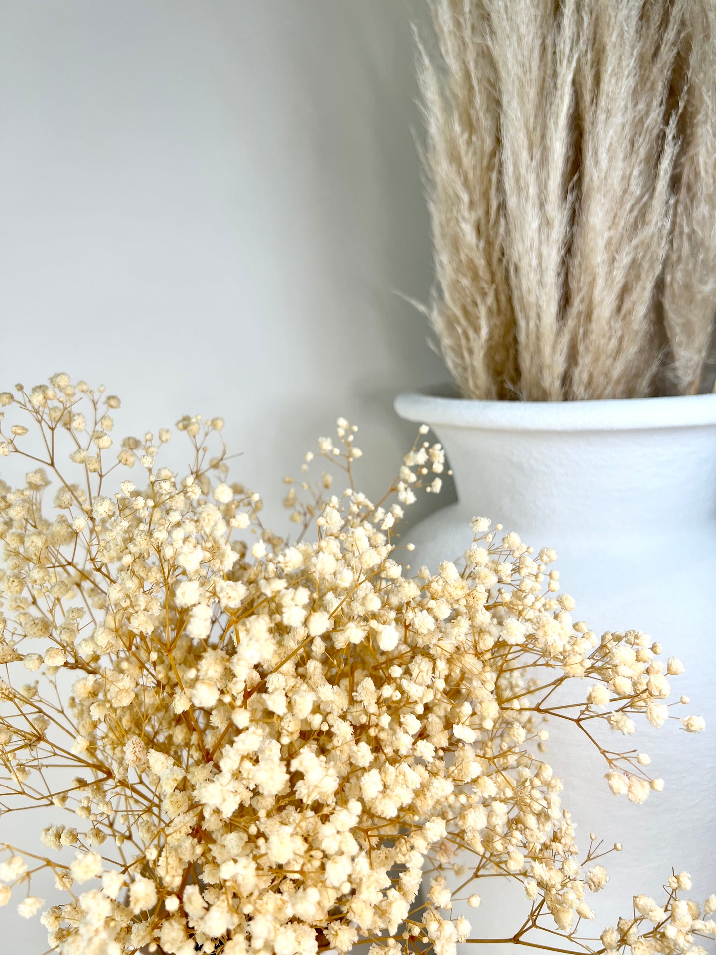 Dried Baby's Breath